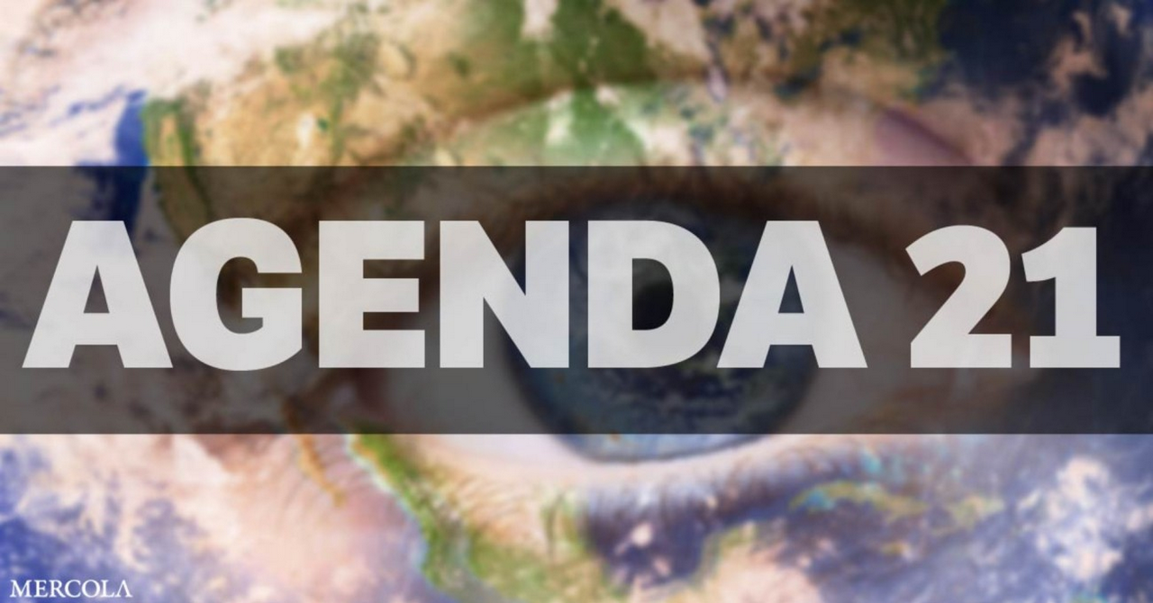 AGENDA 21 – AGGIORNAMENTO 2022